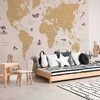 Artgeist Fototapetas - Sea Wolf Map - Countries With Pirate Illustrations