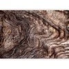 Artgeist Fototapetas - Signs of the times - an abstract background with the wrinkled bark of an old medžio