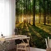 Artgeist Fototapetas - Spring: Morning in the Forest