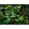 Artgeist Fototapetas - Sunny Jungle