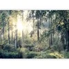 Artgeist Fototapetas - Tales of a Forest