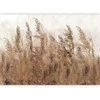 Artgeist Fototapetas - Tall Grasses - Brown