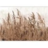 Artgeist Fototapetas - Tall Grasses - Brown