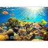 Artgeist Fototapetas - Underwater Land