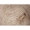 Artgeist Fototapetas - Wood grain