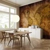 Artgeist Fototapetas - World on old map