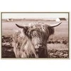 Artgeist Paveikslas - A Scottish Cow in Sepia