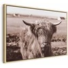 Artgeist Paveikslas - A Scottish Cow in Sepia