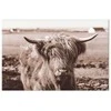 Artgeist Paveikslas - A Scottish Cow in Sepia