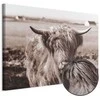 Artgeist Paveikslas - A Scottish Cow in Sepia