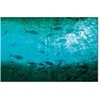 Artgeist Paveikslas - A shoal of dark fish