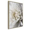 Artgeist Paveikslas - Baltas Dahlia