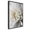 Artgeist Paveikslas - Baltas Dahlia