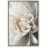 Artgeist Paveikslas - Baltas Dahlia