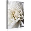 Artgeist Paveikslas - Baltas Dahlia