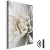 Artgeist Paveikslas - Baltas Dahlia