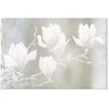 Artgeist Paveikslas - Baltas Magnolias (1 Part) Wide