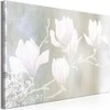 Artgeist Paveikslas - Baltas Magnolias (1 Part) Wide