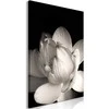 Artgeist Paveikslas - Delicacy of Petals in Nature (1-part) - Flower in Juodas and Baltas