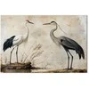 Artgeist Paveikslas - Birds from an old engraving - vintage-style illustration depicting a heron and a crane