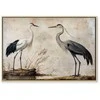Artgeist Paveikslas - Birds from an old engraving - vintage-style illustration depicting a heron and a crane