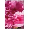 Artgeist Paveikslas - Blossom of Beauty (1-part) - Rožinė Peony Flower Embraced by Nature