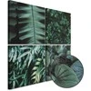 Artgeist Paveikslas - Botanical Gylis (4 Parts)