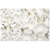 Artgeist Paveikslas - Ceramic Leaves (1 Part) Wide