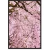 Artgeist Paveikslas - Cherry Tree (1 Part) Vertical