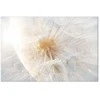 Artgeist Paveikslas - Dandelion in the Sun (1 Part) Wide