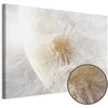 Artgeist Paveikslas - Dandelion in the Sun (1 Part) Wide