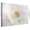 Artgeist Paveikslas - Dandelion in the Sun (1 Part) Wide