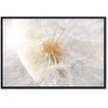 Artgeist Paveikslas - Dandelion in the Sun (1 Part) Wide