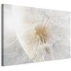 Artgeist Paveikslas - Dandelion in the Sun (1 Part) Wide