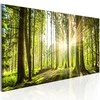 Artgeist Paveikslas - Daylight