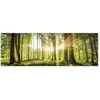 Artgeist Paveikslas - Daylight