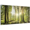 Artgeist Paveikslas - Daylight
