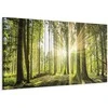 Artgeist Paveikslas - Daylight