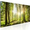 Artgeist Paveikslas - Daylight