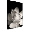 Artgeist Paveikslas - Delicacy of Petals in Nature (1-part) - Flower in Juodas and Baltas