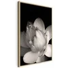 Artgeist Paveikslas - Delicacy of Petals in Nature (1-part) - Flower in Juodas and Baltas