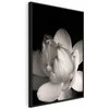 Artgeist Paveikslas - Delicacy of Petals in Nature (1-part) - Flower in Juodas and Baltas