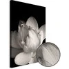 Artgeist Paveikslas - Delicacy of Petals in Nature (1-part) - Flower in Juodas and Baltas