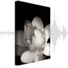 Artgeist Paveikslas - Delicacy of Petals in Nature (1-part) - Flower in Juodas and Baltas