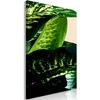 Artgeist Paveikslas - Dieffenbachia (1 Part) Vertical