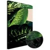 Artgeist Paveikslas - Dieffenbachia (1 Part) Vertical