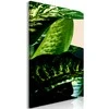 Artgeist Paveikslas - Dieffenbachia (1 Part) Vertical