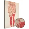 Artgeist Paveikslas - Egon Schiele – Standing Woman in Raudona