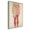 Artgeist Paveikslas - Egon Schiele – Standing Woman in Raudona
