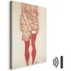 Artgeist Paveikslas - Egon Schiele – Standing Woman in Raudona